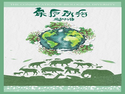 水利与环境学院在2020年全国高校大学生生物多样性保护宣传画征集大赛